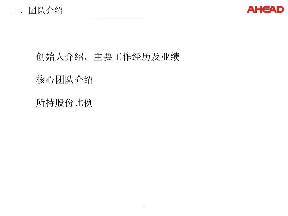 项目BP模版(1)_第4页