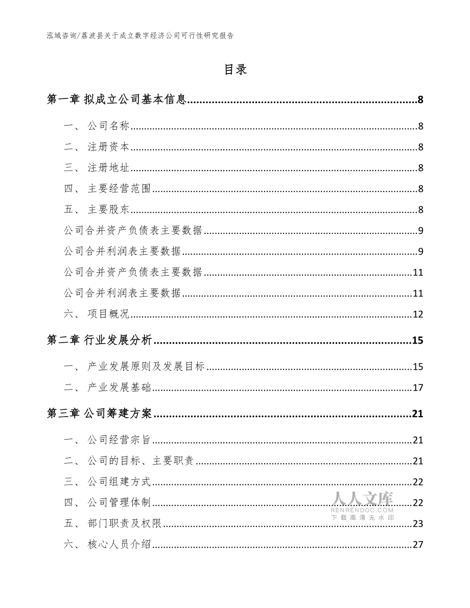 荔波县关于成立数字经济公司可行性研究报告参考模板_第2页