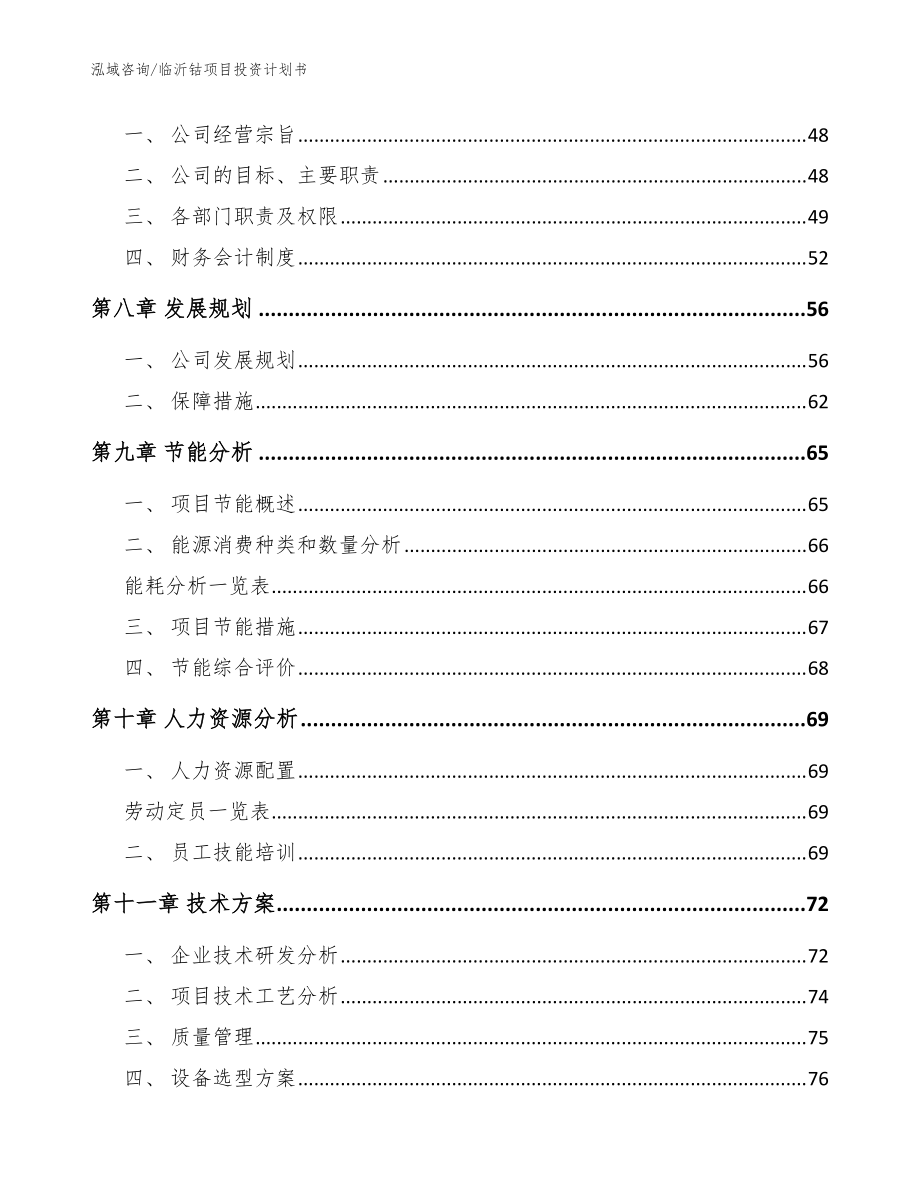 临沂钴项目投资计划书(范文)_第3页