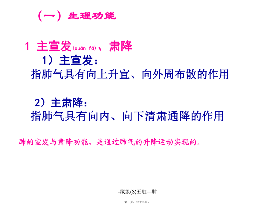 -藏象(3)五脏—肺课件_第3页