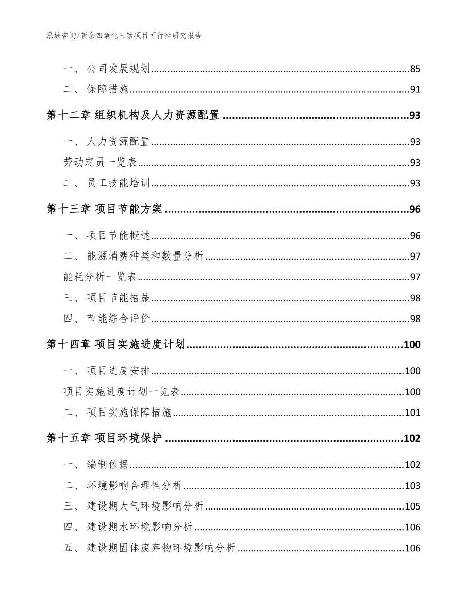 新余四氧化三钴项目可行性研究报告_模板范文_第5页