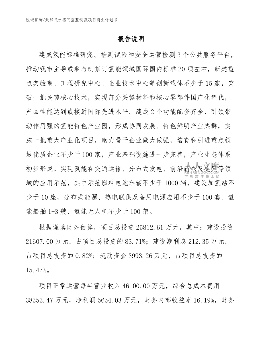 天然气水蒸气重整制氢项目商业计划书【范文模板】_第2页