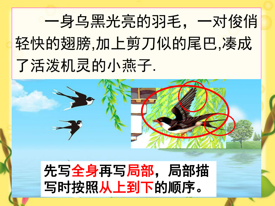三年级人物外貌描写指导(课堂PPT)_第3页