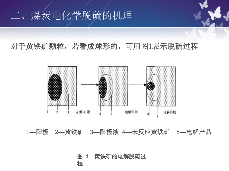 電化學脫硫技術_第5頁