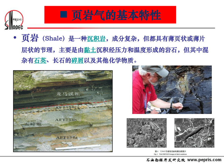 课件--页岩气开采现状及关键技术---李宗田_第4页