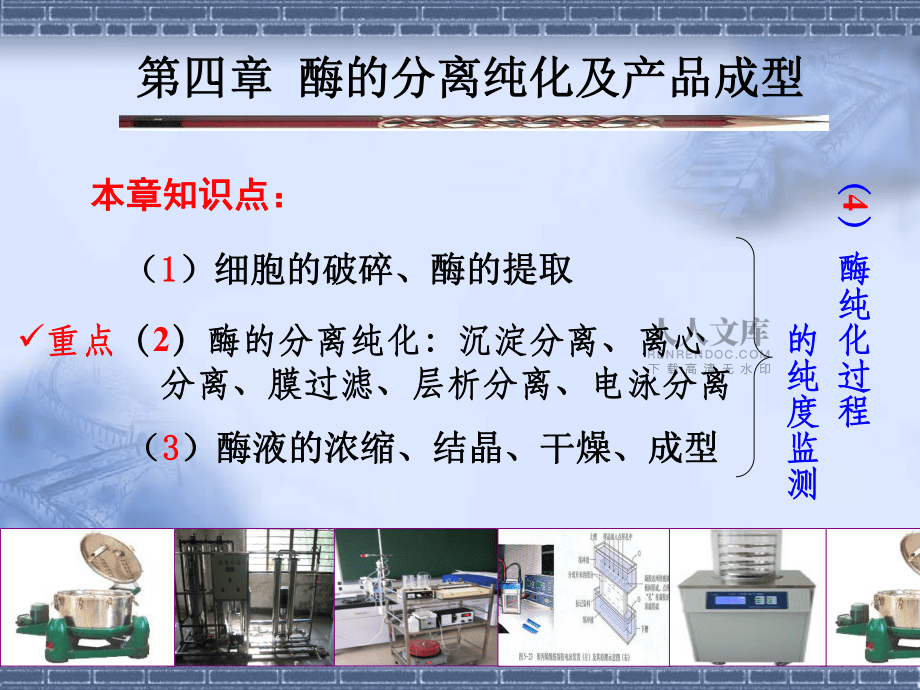 微生物學(xué)第四章 酶的分離純化_第2頁