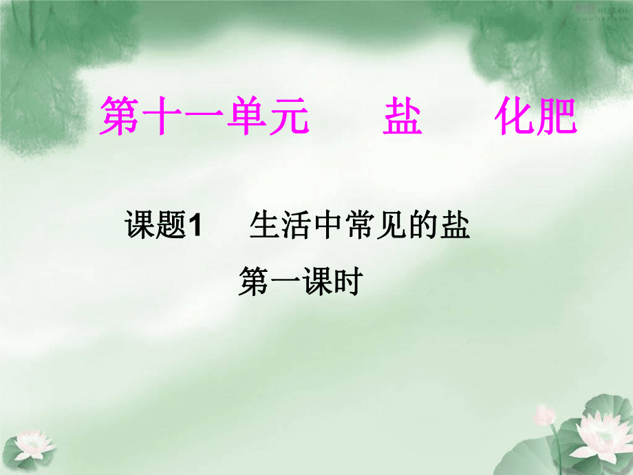九年級化學第十一單元鹽化肥_課題1生活中常見的鹽_第1頁