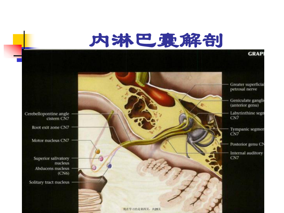 內淋巴囊迷路手術_第4頁