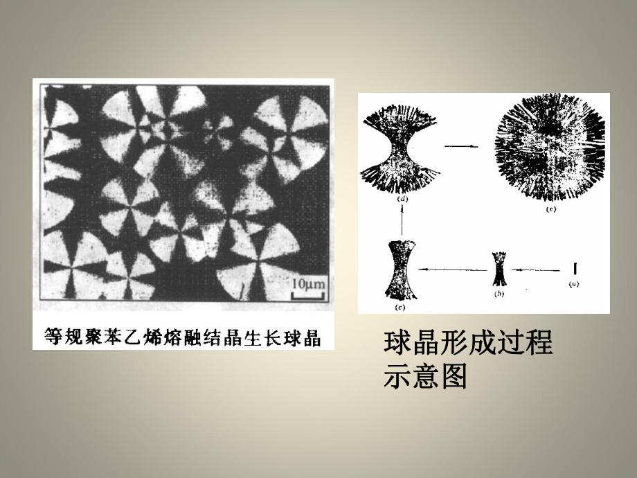实验一 光学显微镜法观察聚合物的结晶形态山东轻_第5页