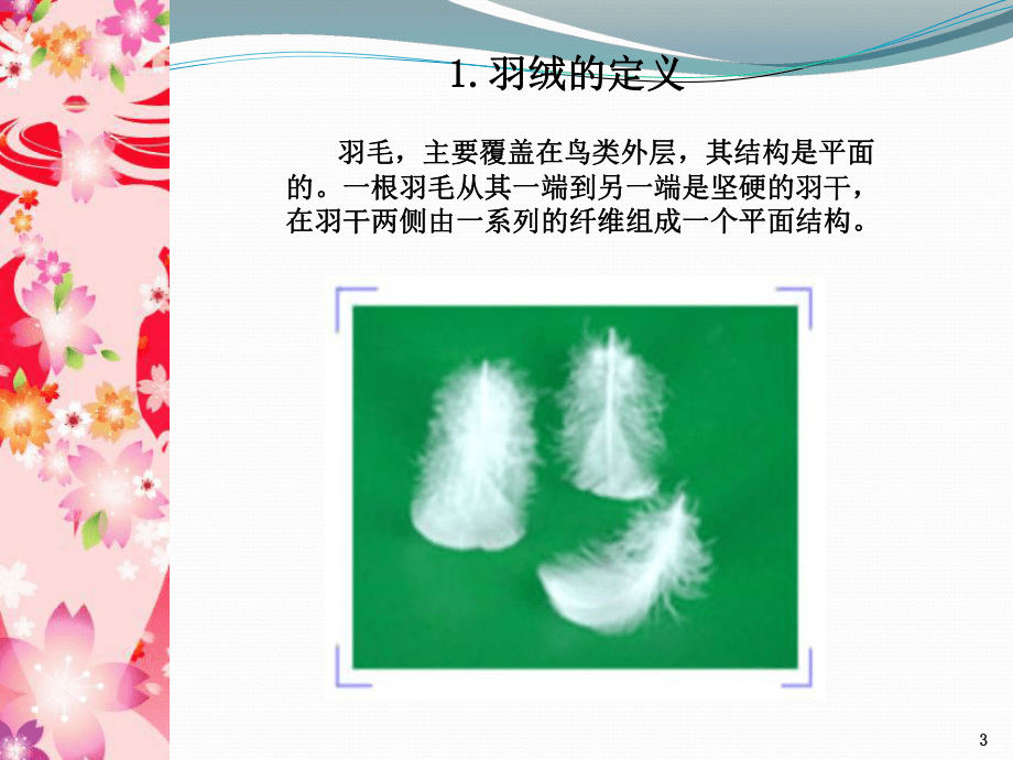 羽绒服的基本常识_第3页
