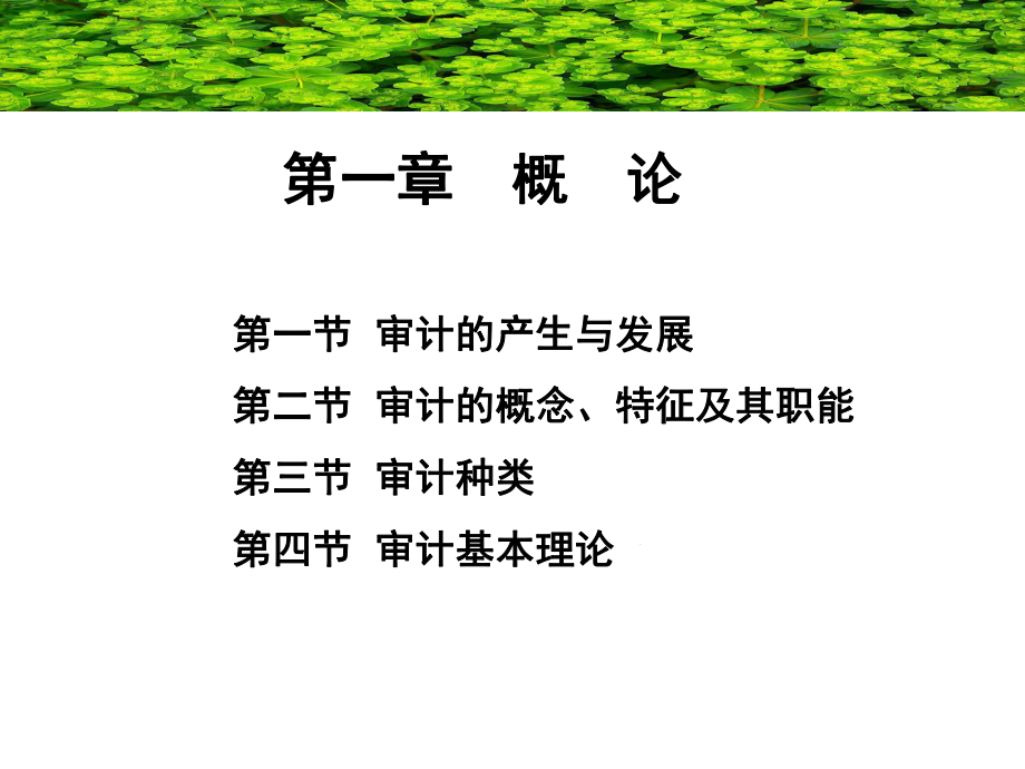 第1章 审计概论_第2页