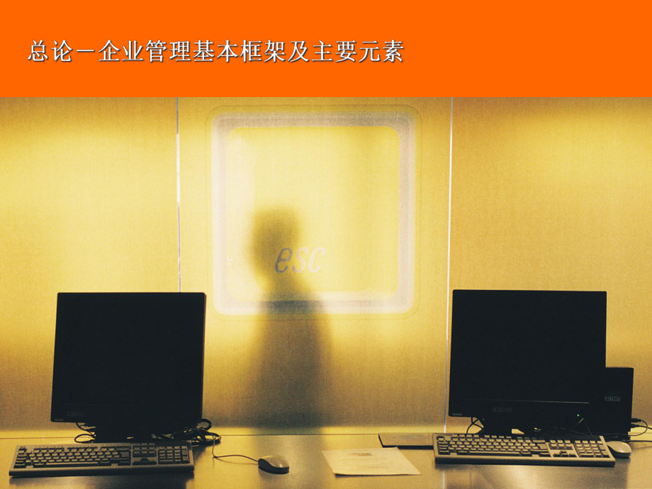 企業(yè)戰(zhàn)略管理培訓(xùn)資料(ppt 頁)_第3頁