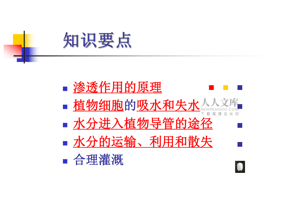 植物对水分的吸收和利用解读实验专题_第2页