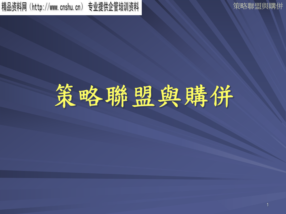 企业策略联盟与购并_第1页