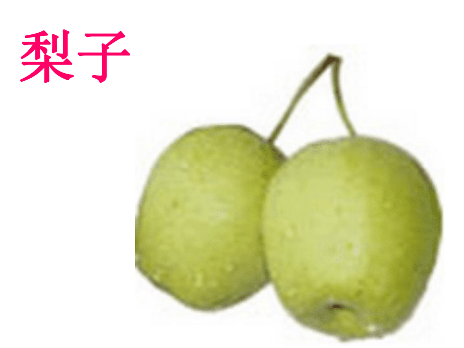 认识水果蔬菜(幼儿园)_第4页
