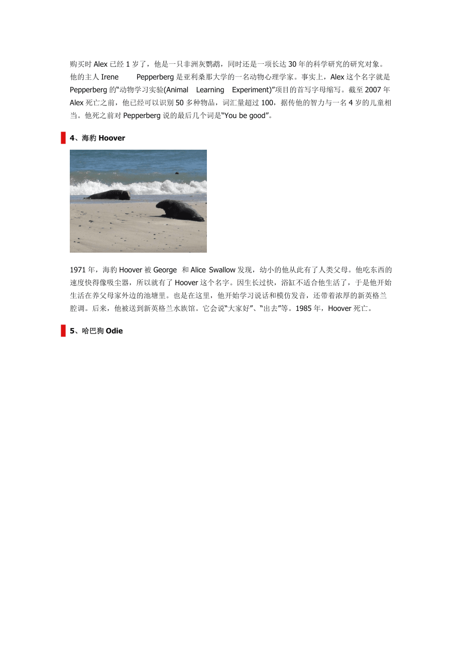 只會說話的動物_第3頁