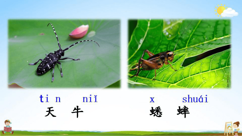 人教部编版二年级语文下册《第11课 我是一只小虫子》教学课件PPT小学优秀公开课_第3页