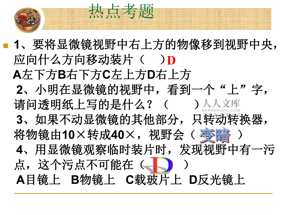 观察细胞2015版_第2页