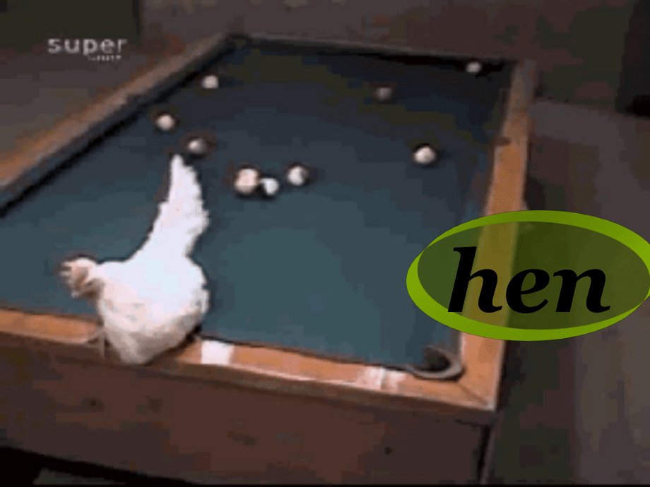劍橋少兒英語預備級上Unit4_第3頁