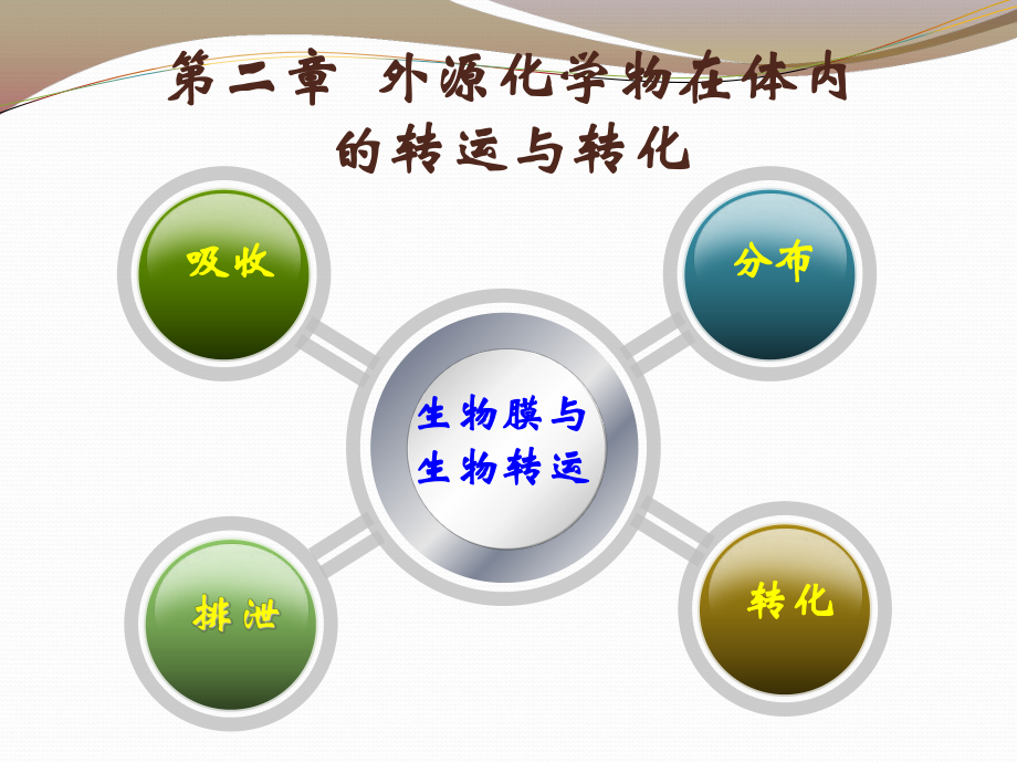食品毒理学_02外源化学物在体内的转运与转化_第1页