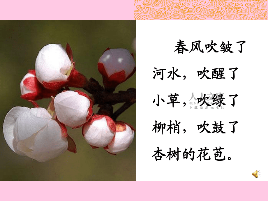 第一朵杏花 (3)_第2页