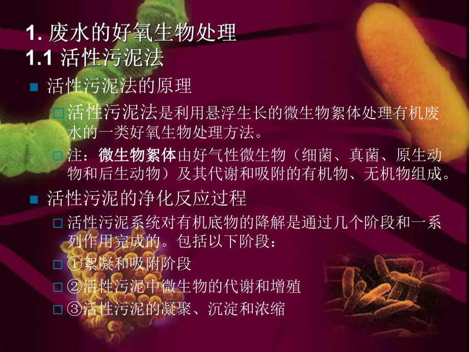 微生物与环境保护_第3页