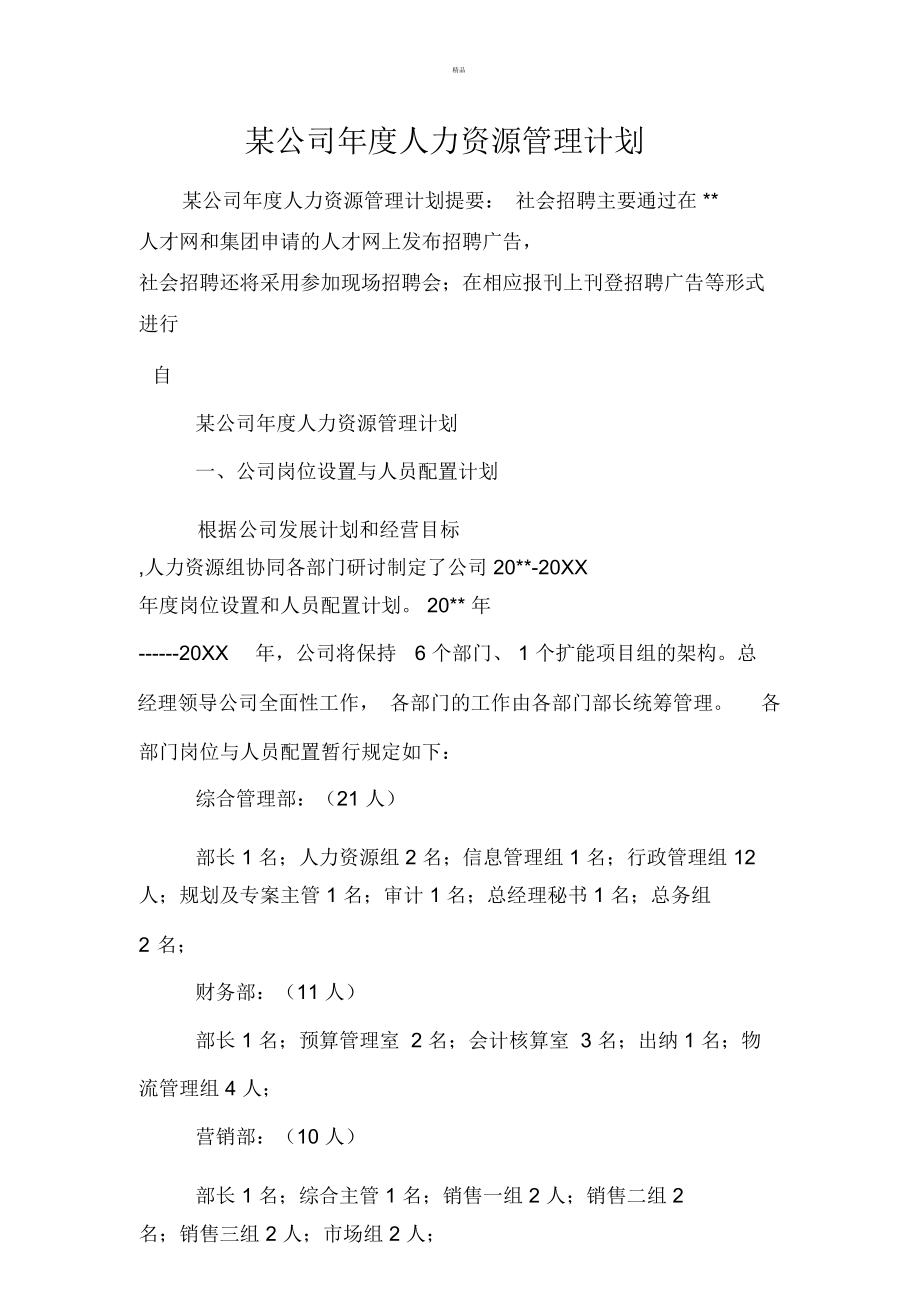 某公司年度人力资源管理计划_第1页