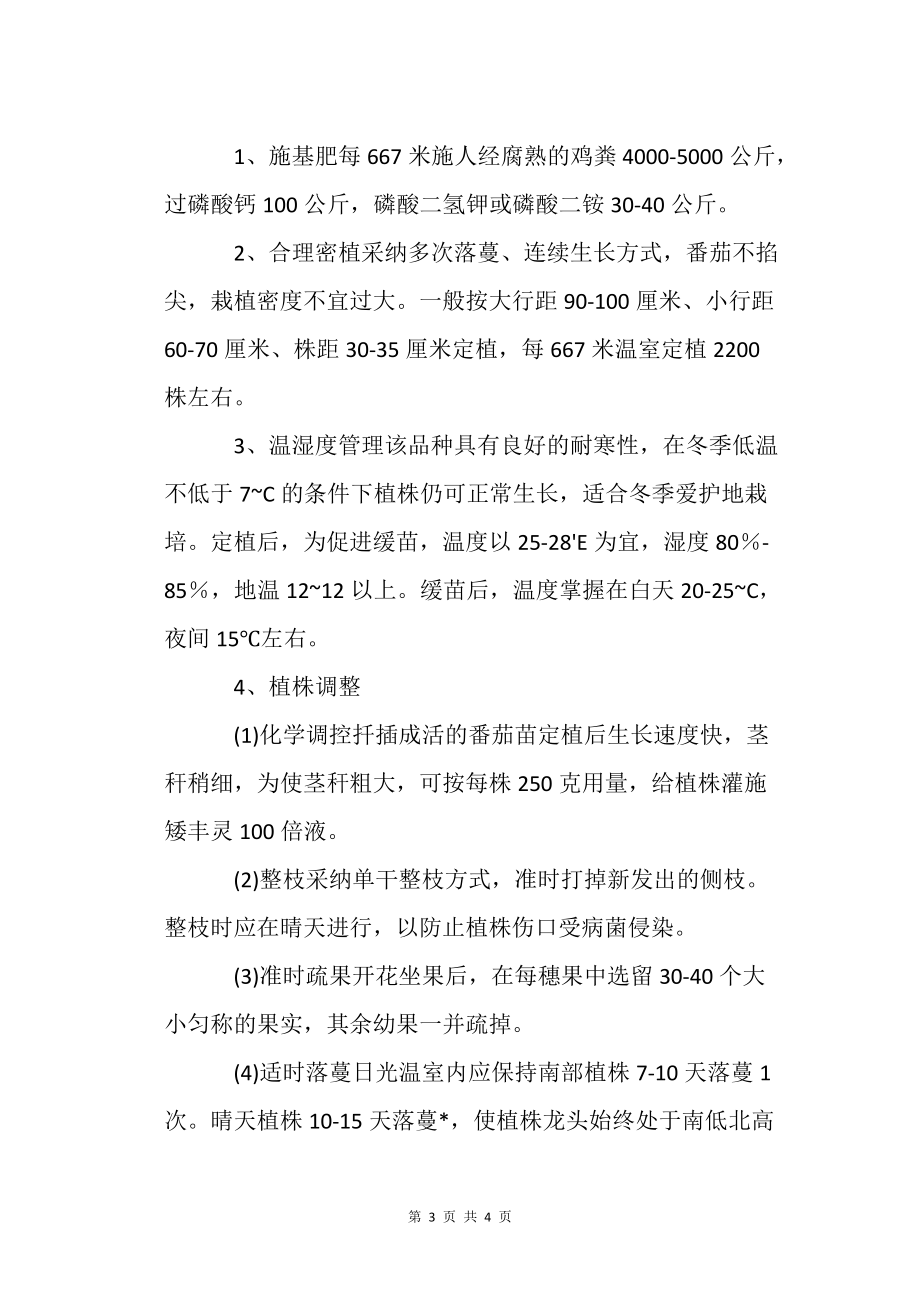 番茄扦插高效栽培技术农业种植技术栽培技术_第3页