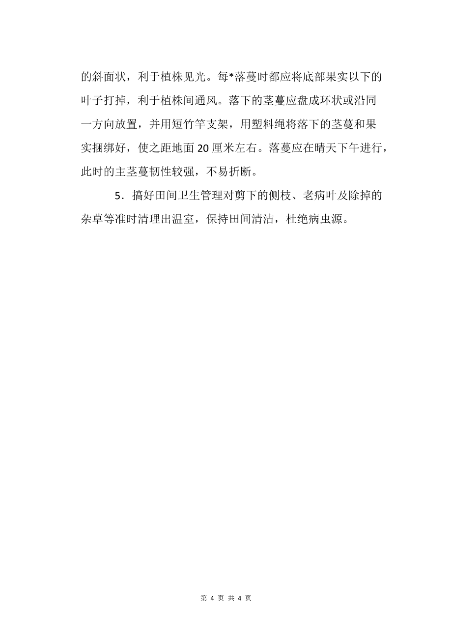 番茄扦插高效栽培技术农业种植技术栽培技术_第4页