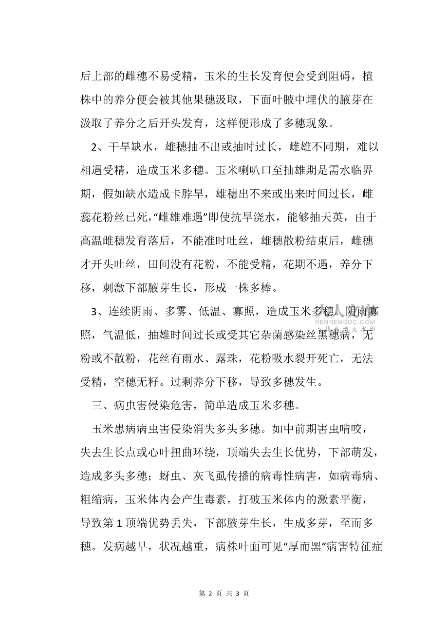 造成玉米多穗的主要因素有哪些农业种植技术栽培技术_第2页