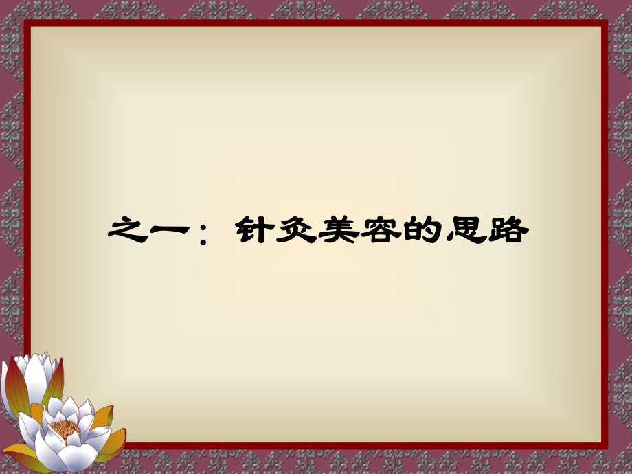 針灸美容的思路及應用選編課件_第2頁