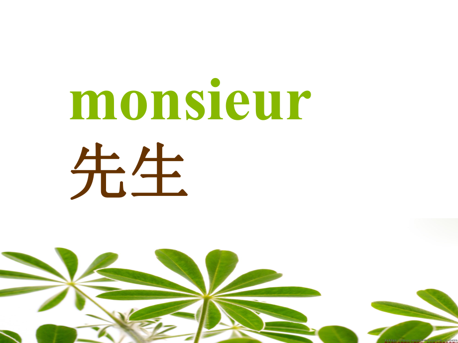 法语课件问候_第4页