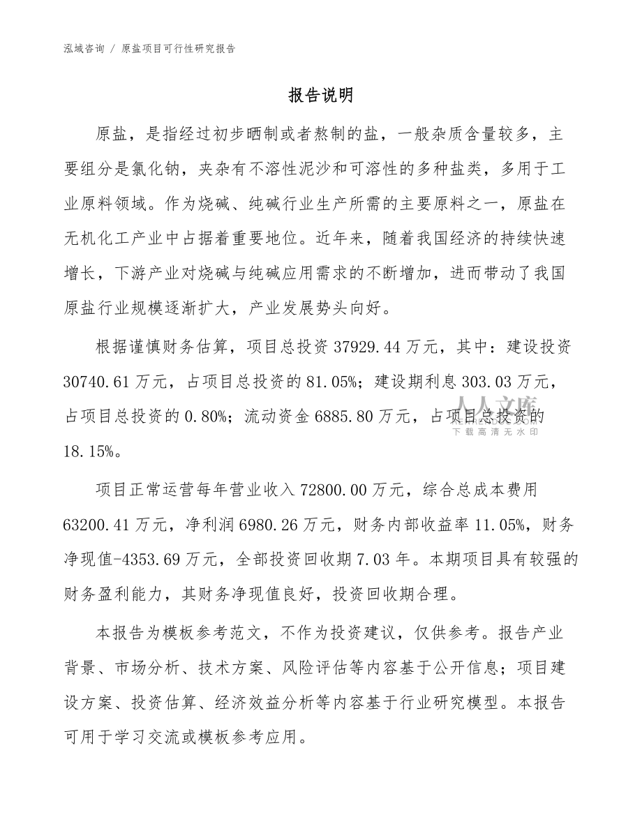原盐项目可行性研究报告【模板范文】_第2页