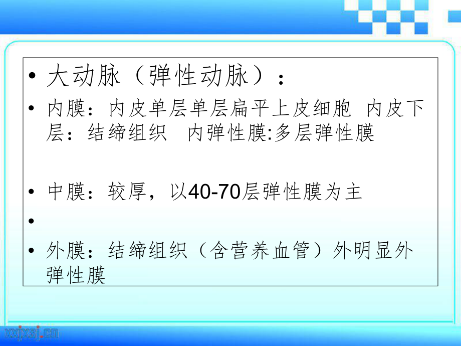 主動脈壁結構PPT精選文檔_第3頁