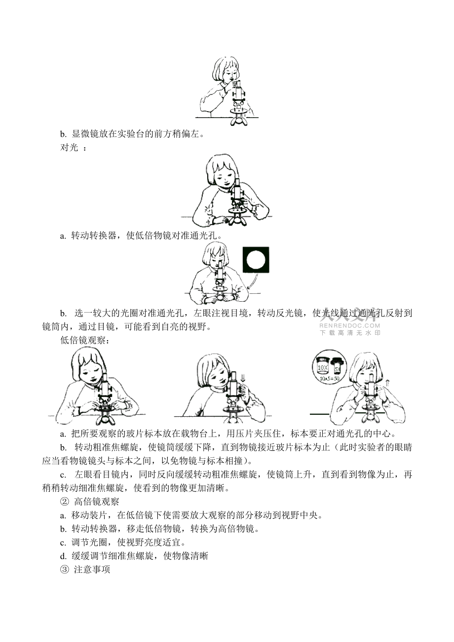 显微镜的结构和使用_第2页
