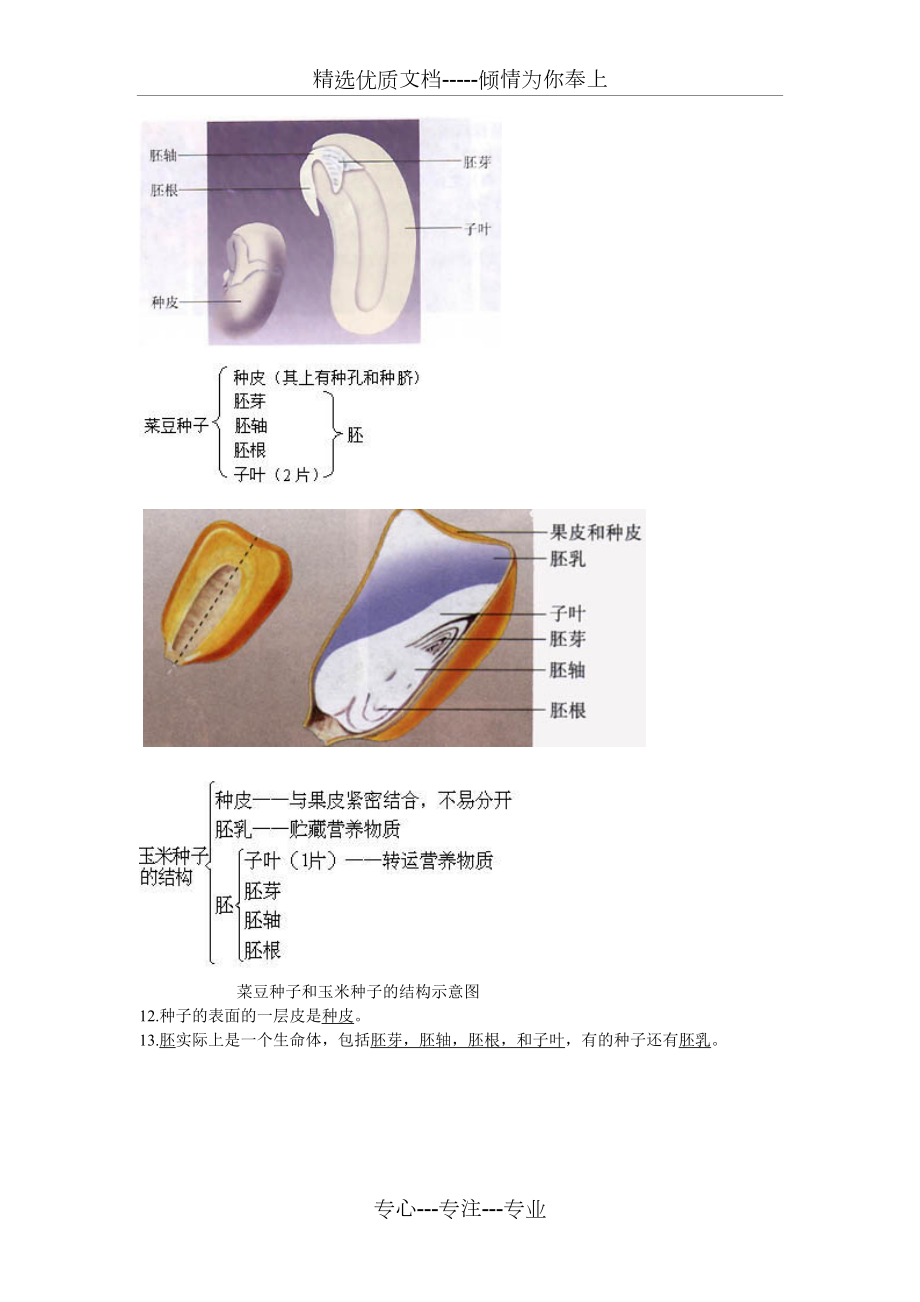 中考初中生物圖集_第3頁