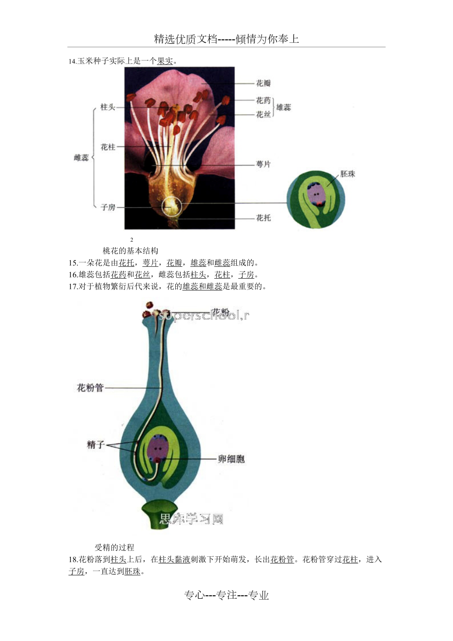 中考初中生物圖集_第4頁