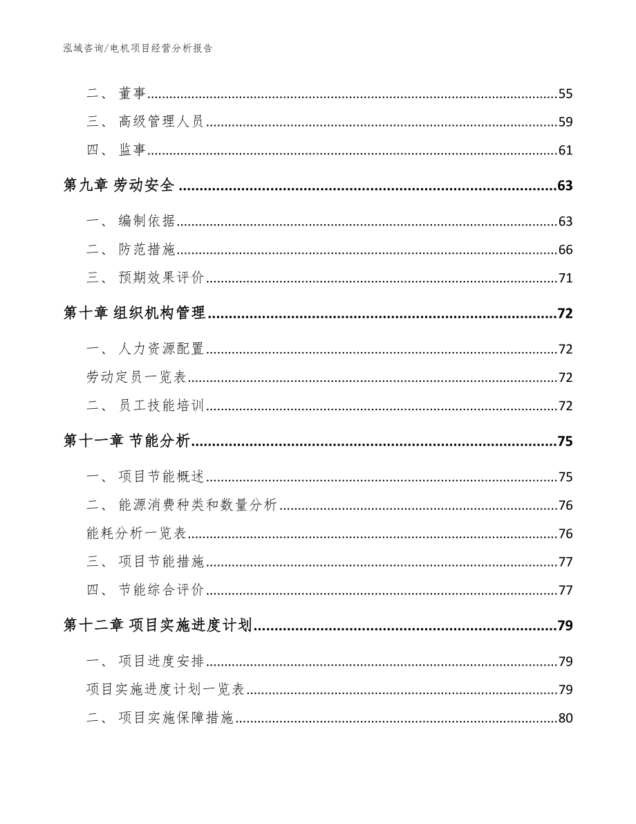 電機項目經營分析報告【范文】_第4頁