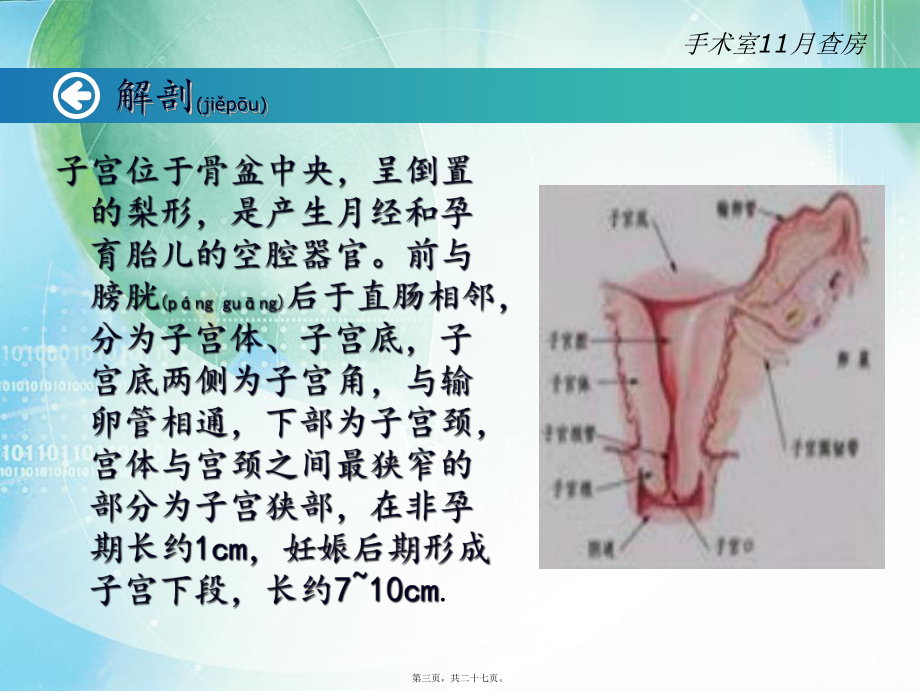 手术室11月查房课件_第3页