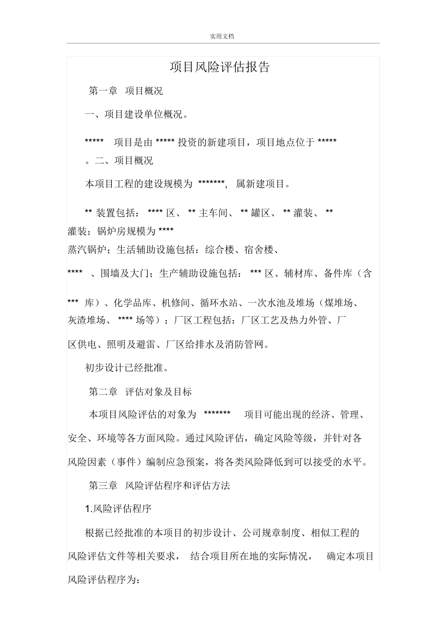 项目风险评估报告材料_第1页