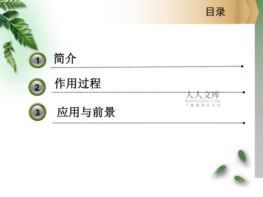 CRISPRCas9系統工作原理_第2頁