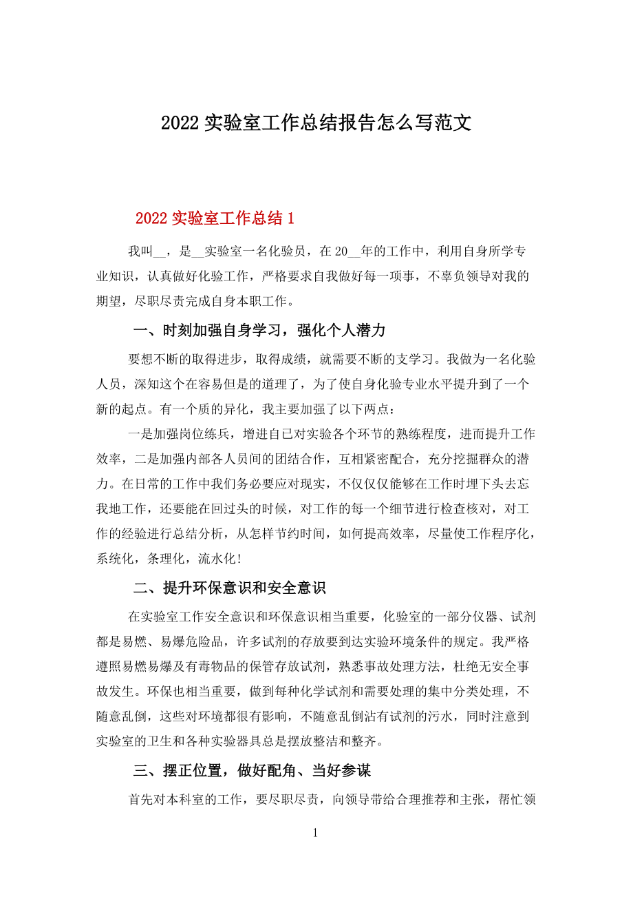 2022实验室工作总结报告怎么写范文_第1页