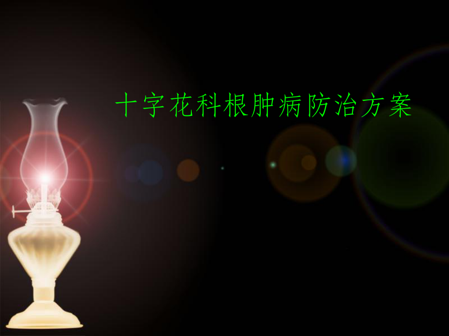 十字花科根腫病防治_第1頁
