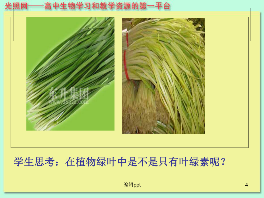 市級(jí)公開課捕獲光能的色素和結(jié)構(gòu)_第4頁(yè)