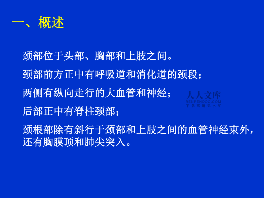 颈部的浅层结构课件_第2页