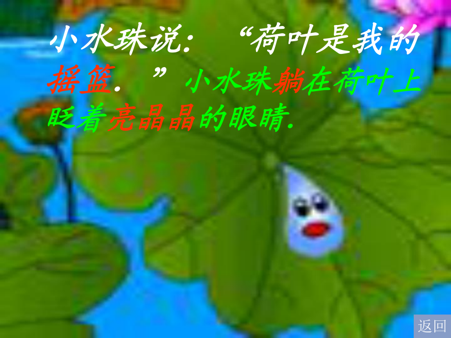 荷叶圆圆个人课件_第5页