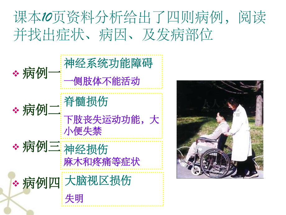 神经系统的组成ppt课件_第2页