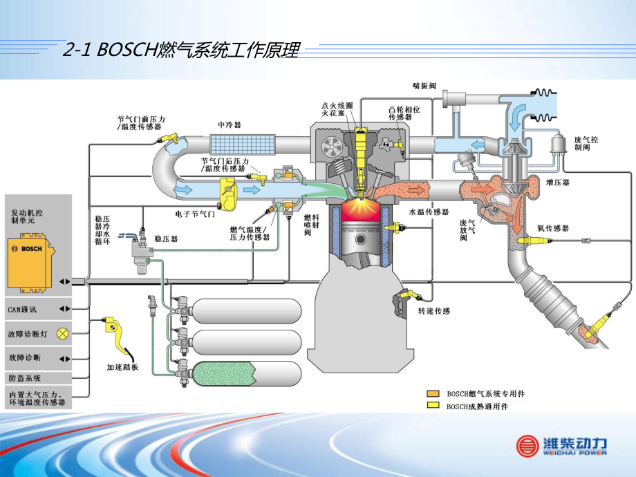 BOSCH燃气电控系统部件介绍_第5页