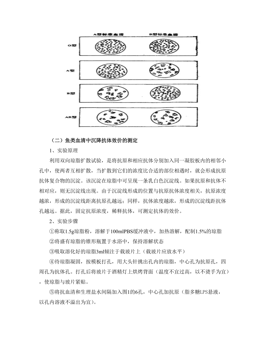 免疫学综合实验2014_第3页