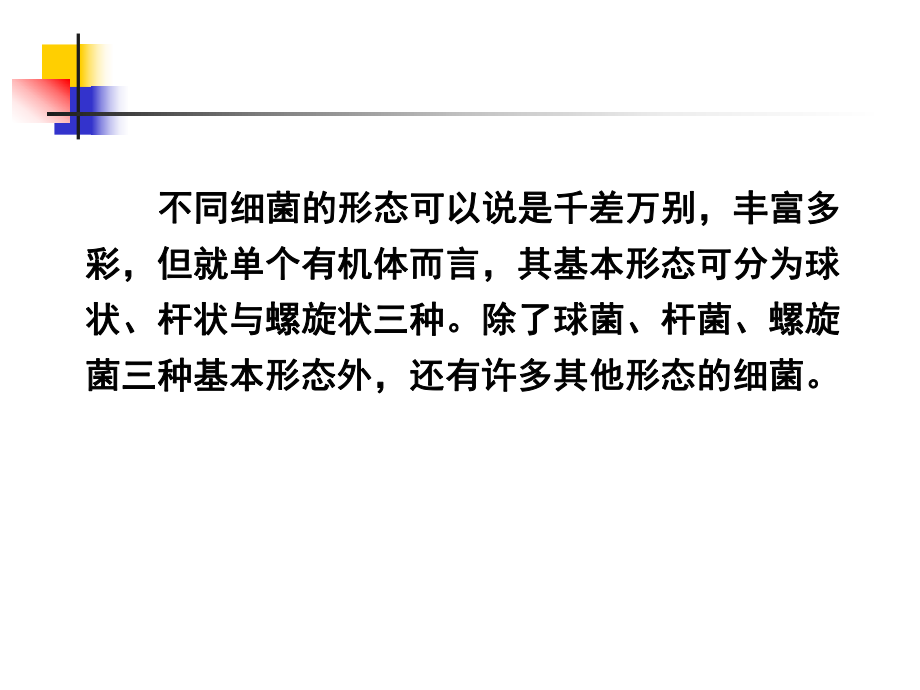 微生物形态、结构_第5页